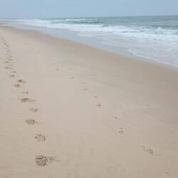 Strandspaziergang Abend