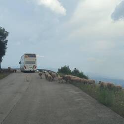 Leute, der Bus ist da....