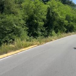 Schon beeindruckend wenn man direkt daneben steht.