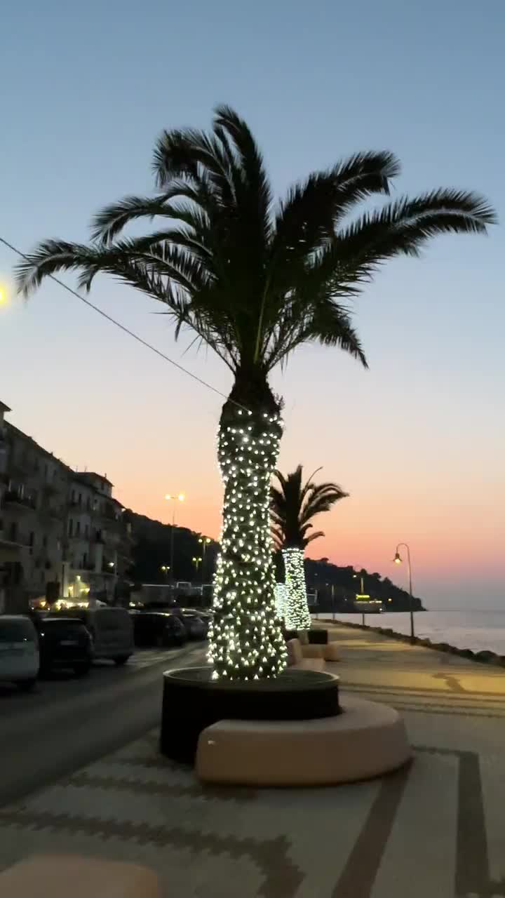 Party-Palme