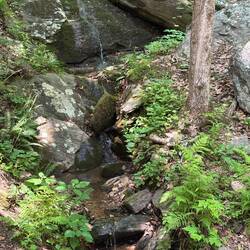 Hike in Thousand Trails