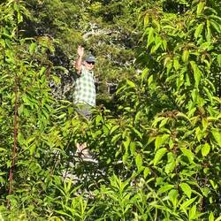 Jon wondering off Blue Ridge Parkway
