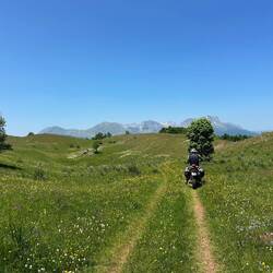 Fahrt durch Blumenwiese