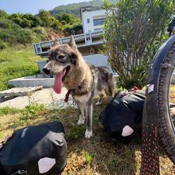 Ich schick dich jetzt wieder nach Hause.