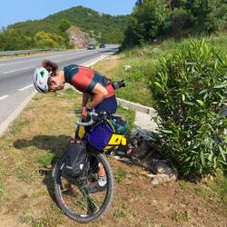 Schaltauge gerissen an der Bundesstraße. Kein Spaß. Der Hund wartet brav