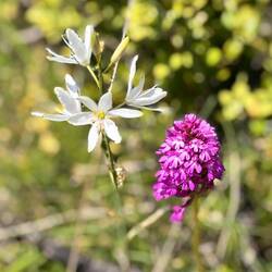 Und nochmal schön...