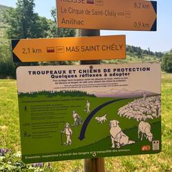 Attention aux Chiens!