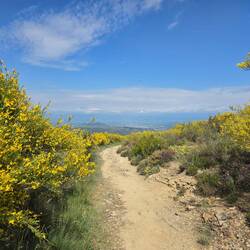 Ausblick auf Ponferrada