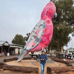 Kimba. Half way across the continent!