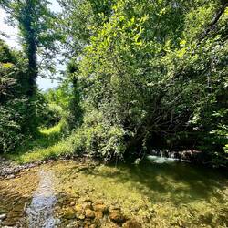 Hier schon mitten im Komoot-Spezialweg