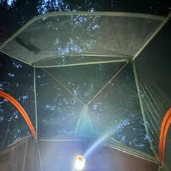 Jetzt erstmal unter den Bäumen schlummern. Morgen wird besser