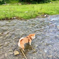Mica plantscht immer noch nicht gerne!