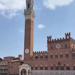 Video of Piazza del Campo
