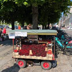 Cherries and strawberries!