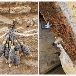 Cactus silk: fiber from the agave plant. Women pay boys to spool the thread for them