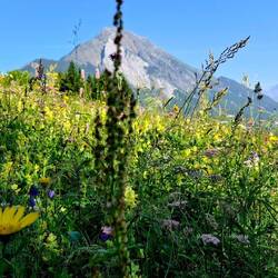 De hele regio geurt naar het hooien en naar duizenden veldbloemen.