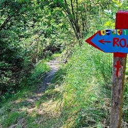 Oh? Zijn we er dan bijna al?