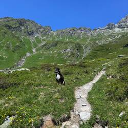 Alles Richtung Richetlipass