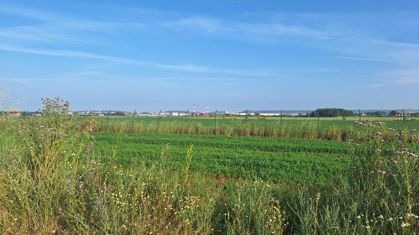 Walking past Burgos airport on the way into the city