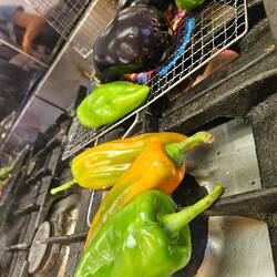 Fire roasted veggies