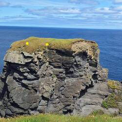 Bishops Island with the yellow dots indicating the remains of a settlement
