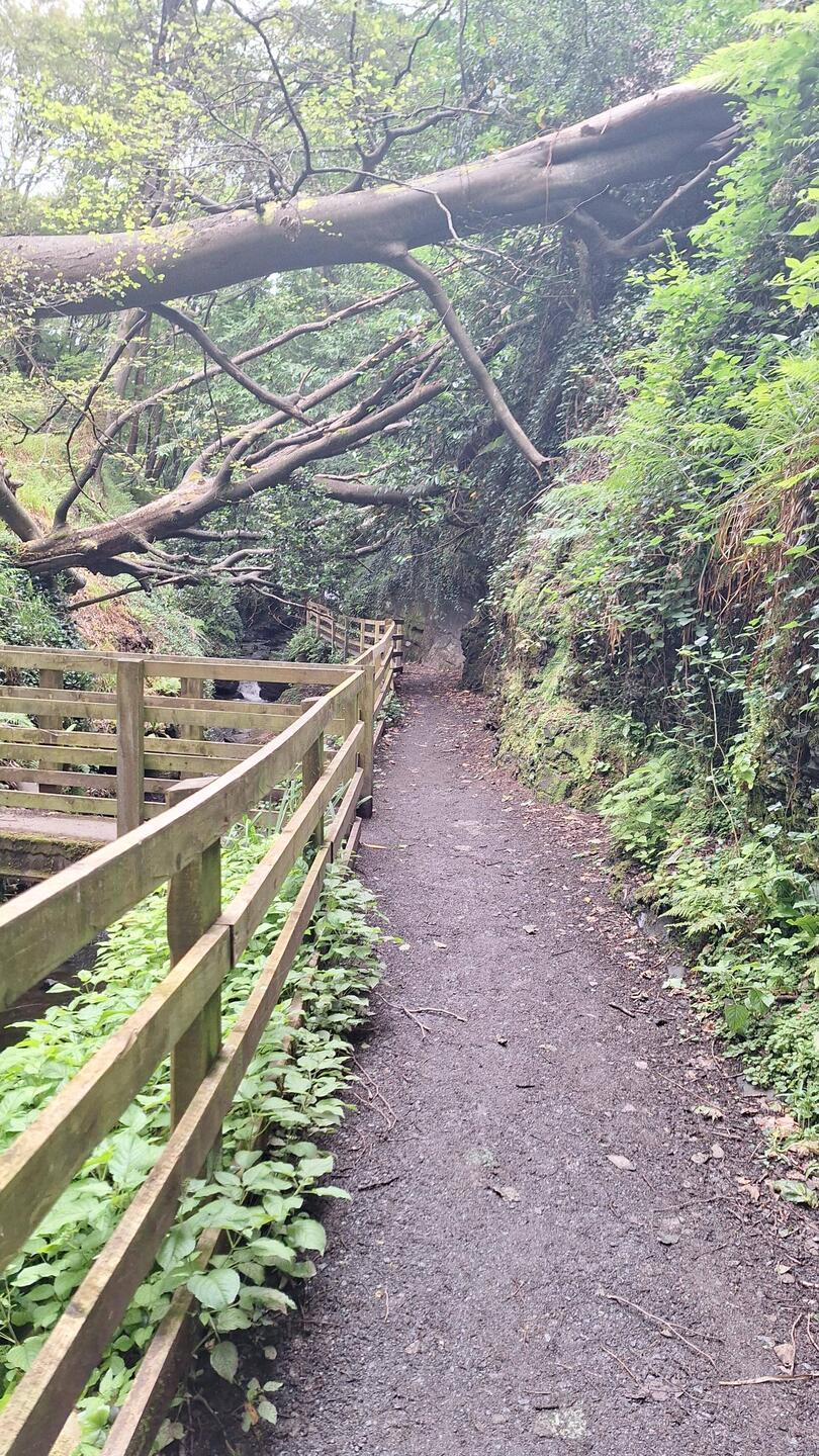 A run along the river