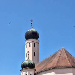 Störche kreisen um die St. Jakob Kirche