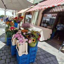 Blumen gehören auch zum Stadtbild