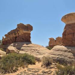 Das hier gezogene Gemüse landet dann am Ende in des Teufels Küche