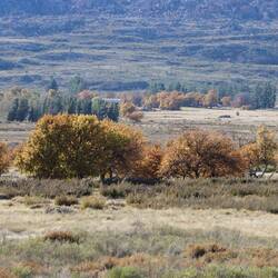 ...die Bäume sind in Spätherbststimmung