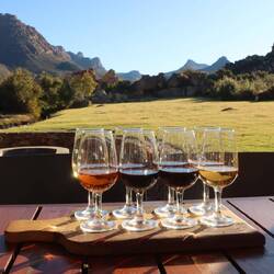 Die Nacht bleiben wir auf einem Weingut...Weinprobe inbegriffen