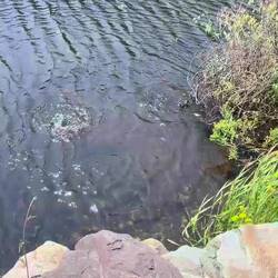 Mama macht vor, wie es geht