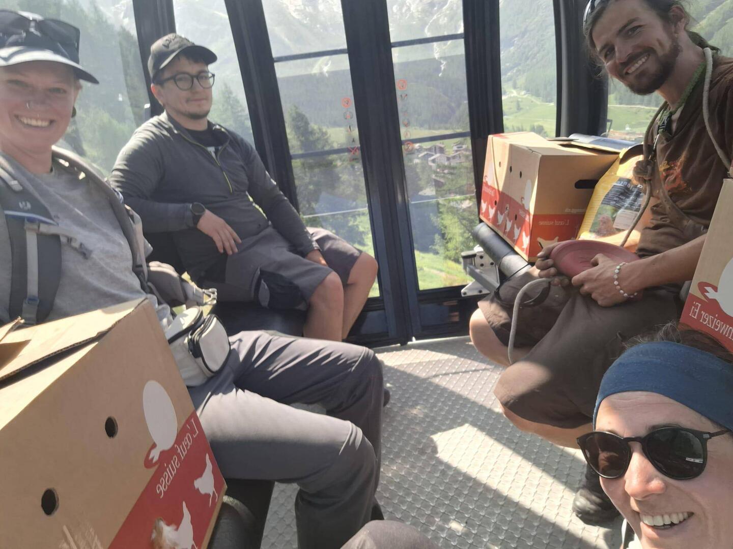 Hühner in der Gondel