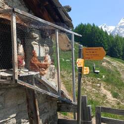 Das sind die mutigsten gewesen