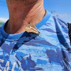 Anhänglicher Schmetterling