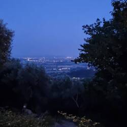 Blick auf Vicopisano