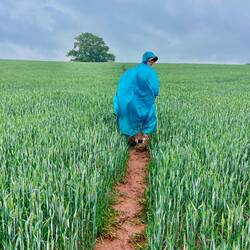 Red mud and barley fields and Smurf.