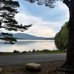 Loch Garten