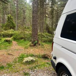 Stellplatz im Nature Reserve