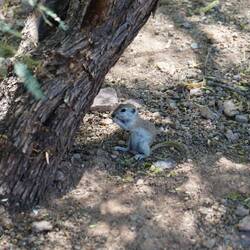 Schattenplätze sind gefragt