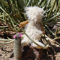 Ganz vorsichtig Horst, ist stachelig, ok!