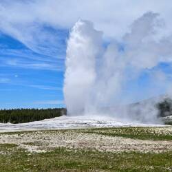 Old Faithful