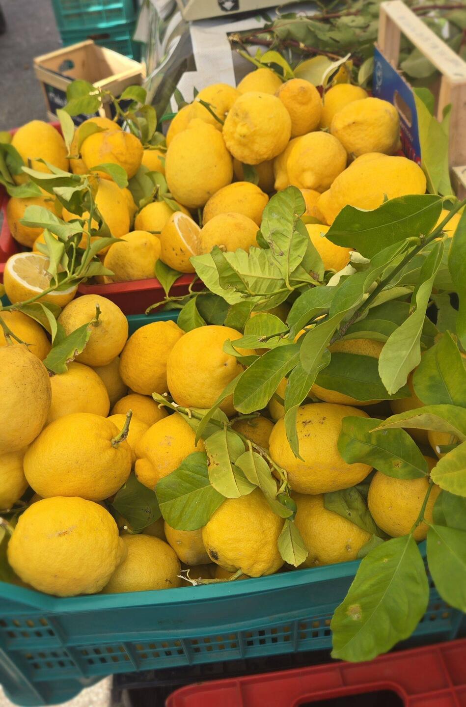 Martina Franca market day