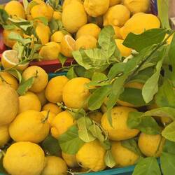 Martina Franca market day