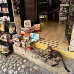 Mauzi lässt es locker angehen