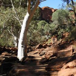 Kings Canyon Creek walk