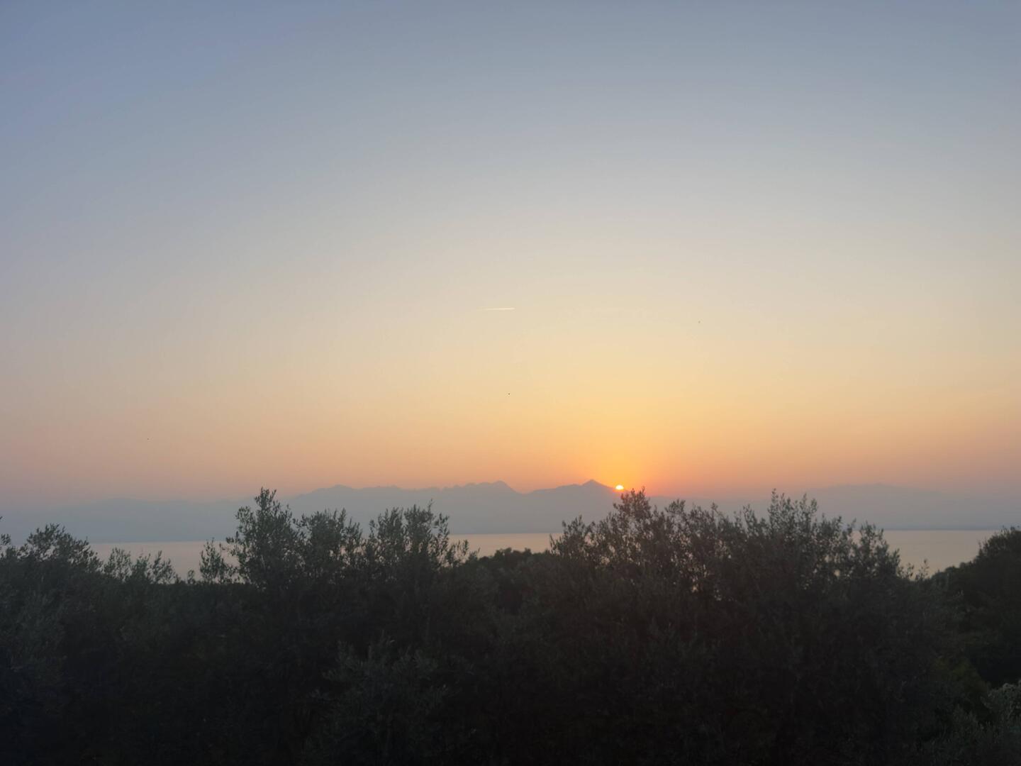 Guten Morgen