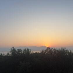 Guten Morgen