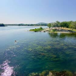 Stelle an der Buna und Drina zusammenfließen, südlich von Shkodër