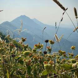 Und ein Blick auf die andere Seite. Hier kommt bald Albanien